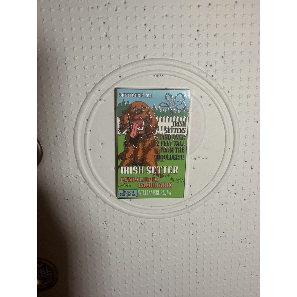 Busch Gardens Pin Magazine Edition September 2021 Irish Setter LE 300